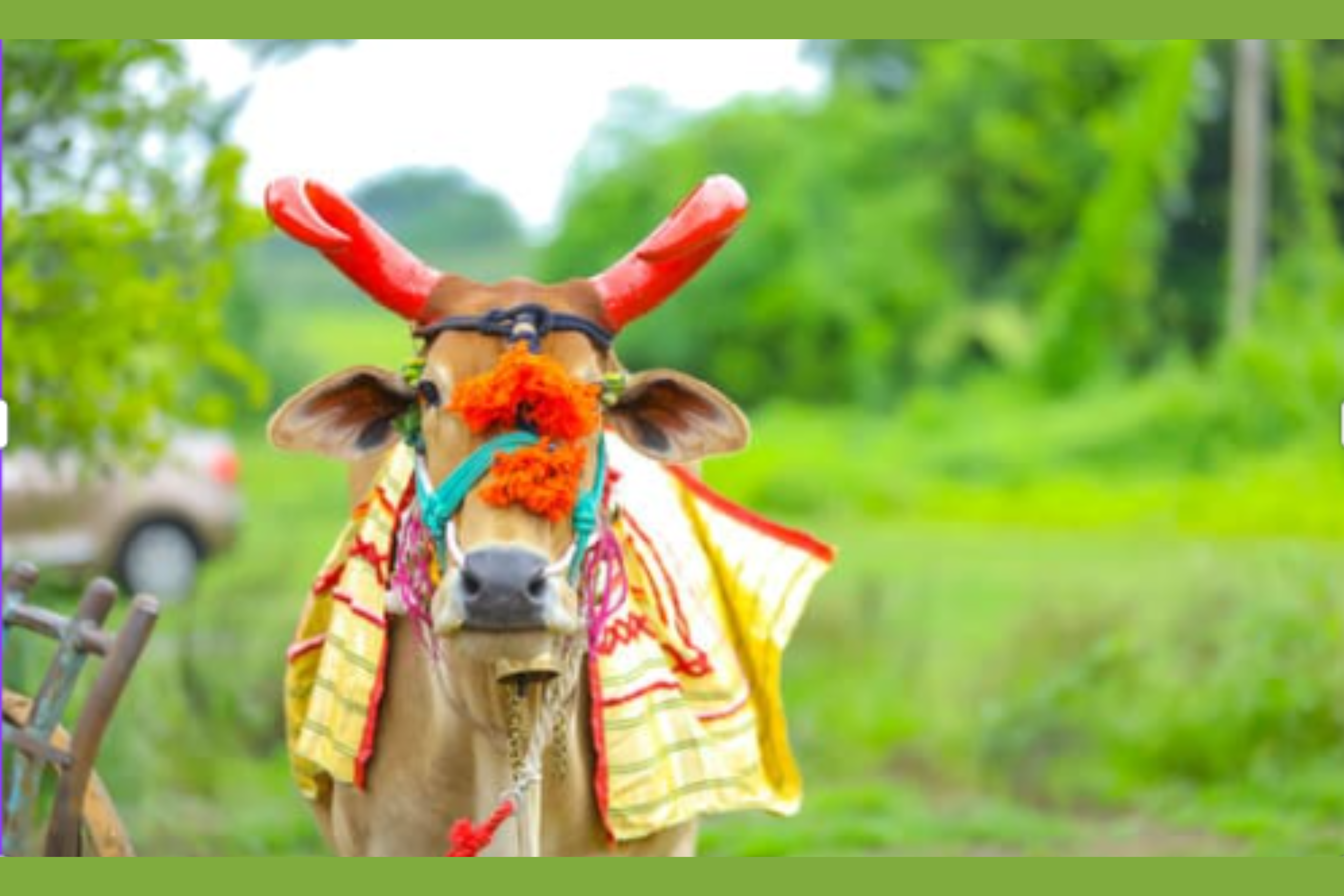 पोला फेस्टिवल: महाराष्ट्र का एक अद्भुत पर्व | Pola Festival 2024 | Bail Pola