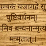 Rudraksha mala for chanting Mahamrityunjaya Mantra