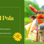 A beautifully decorated bull adorned with vibrant ornaments and traditional attire, symbolizing gratitude and reverence on Bail Pola festival.